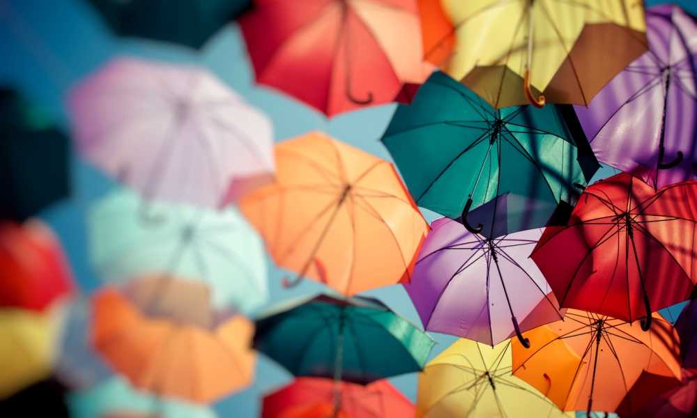 Five Umbrellas We Highly Recommend