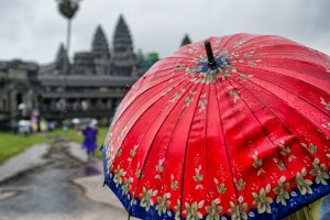 Cool Umbrellas: The Stylish and the Functional
