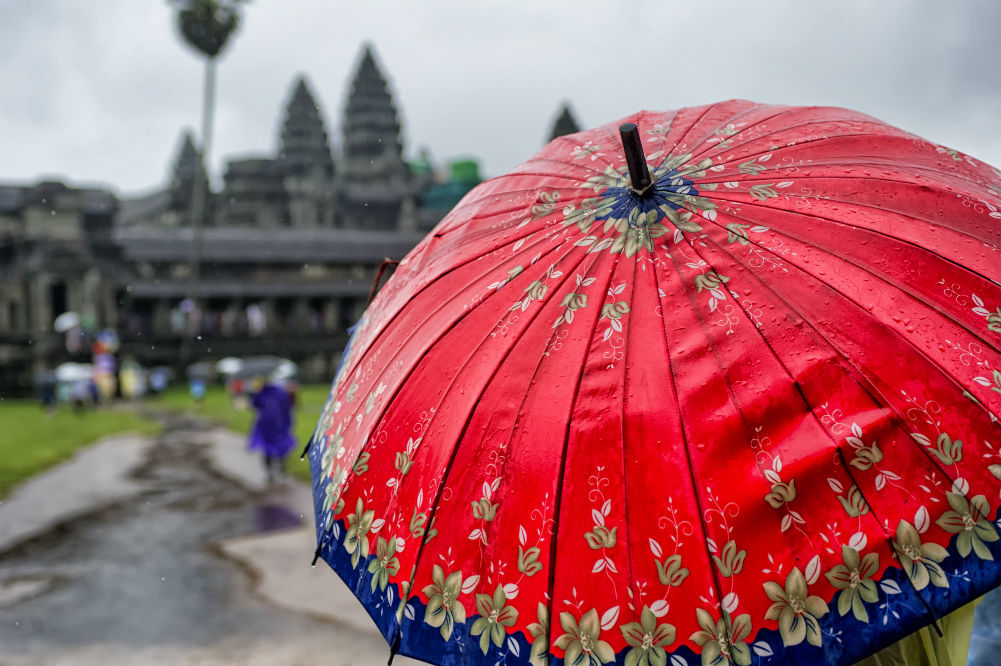 Cool Umbrellas: The Stylish and the Functional