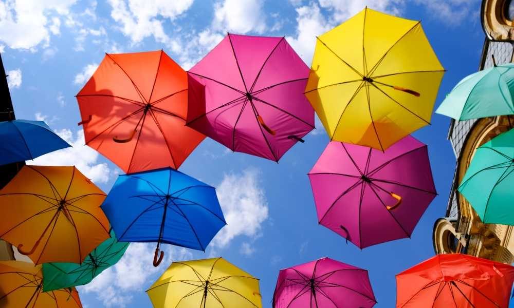 Bagail Reverse Folding Umbrella Review