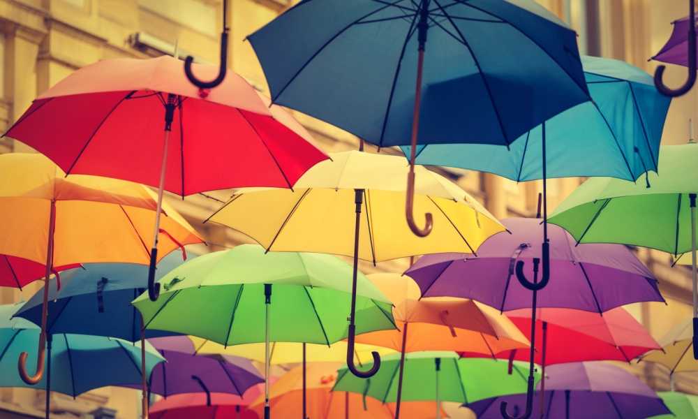 Dryzle Inverted Umbrella Review